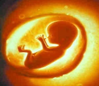 孕期四维彩超胎儿视频,孕期四维查询