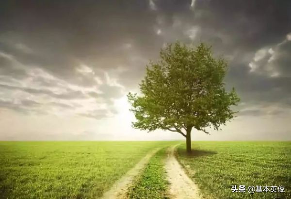 突然不想努力了感觉一切毫无意义,当你不想努力了该怎么调整状态