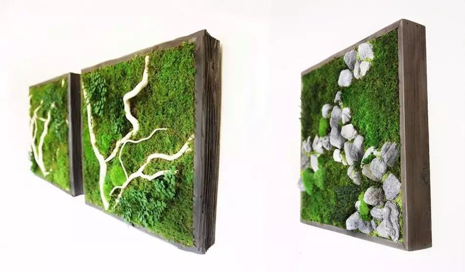 置爱|植物1.0是种在盆儿里的,植物2.0都趴在墙上的