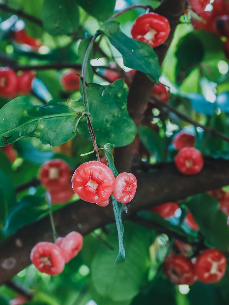从南宁到崇左，3天2晚玩转广西德天大瀑布