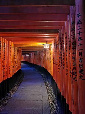 2020鏃ユ湰澶ч槳,澶ч槳浜兘濂堣壇鍏ぉ瀹夋帓