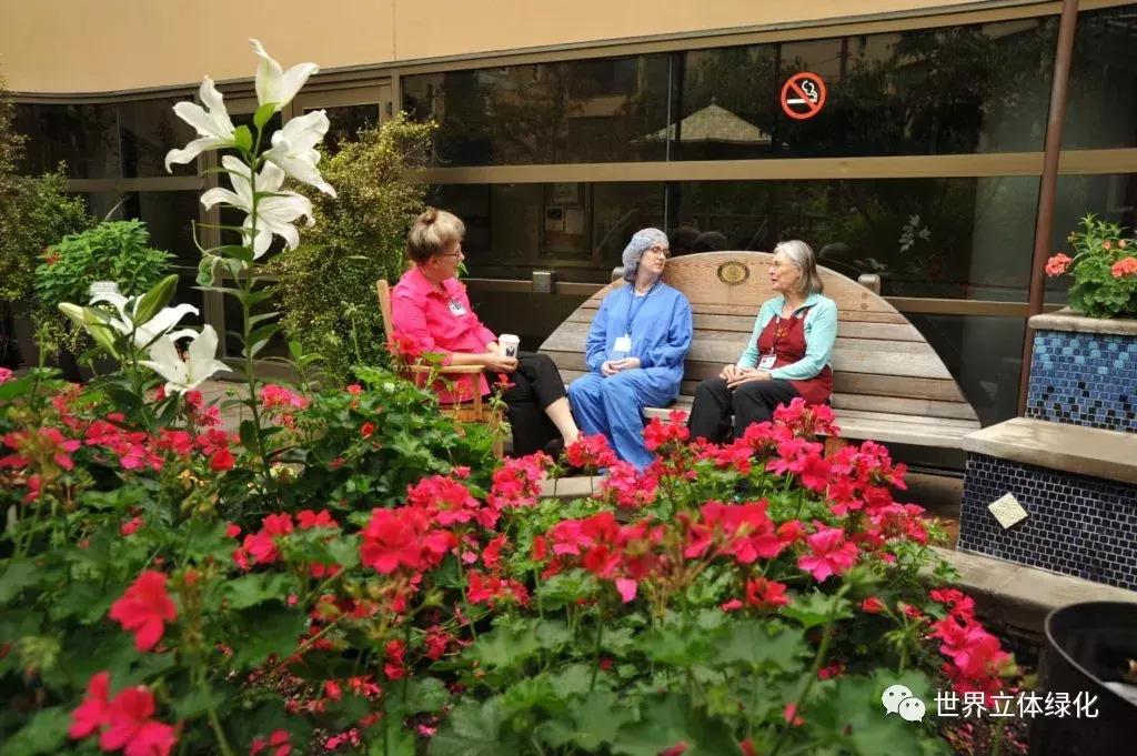 为什么园艺疗法能快速发展,园艺疗法的应用领域