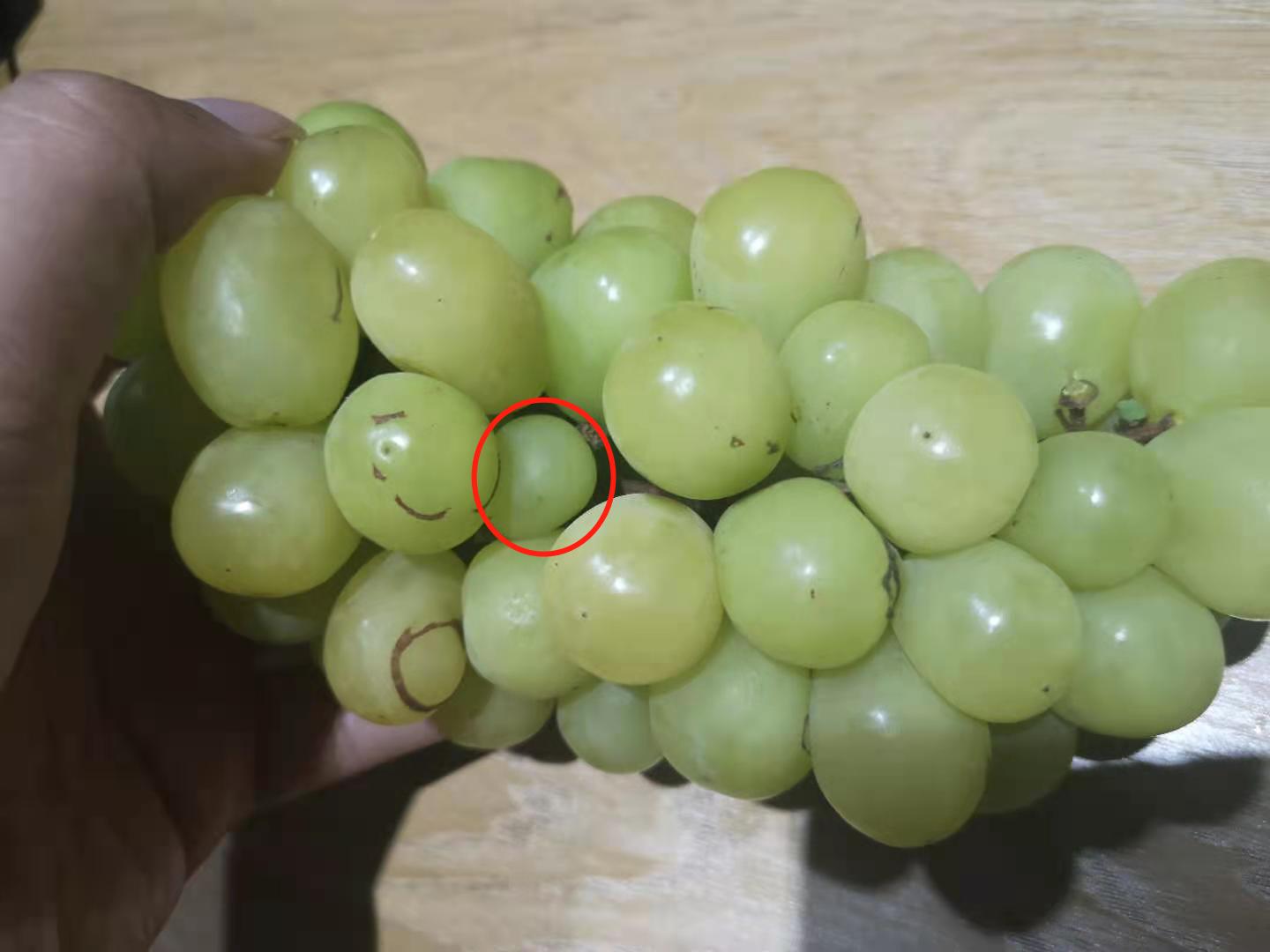 韩国阳光玫瑰葡萄多少钱一串,阳光玫瑰葡萄大串好还是小串好