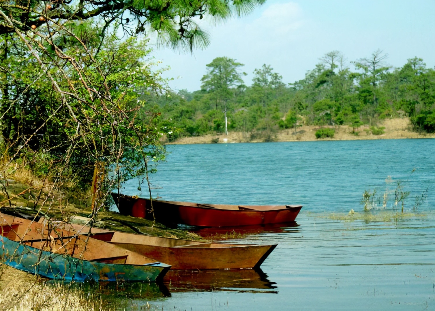 昆明周边美食一日游自驾游,昆明周边自驾游露营视频