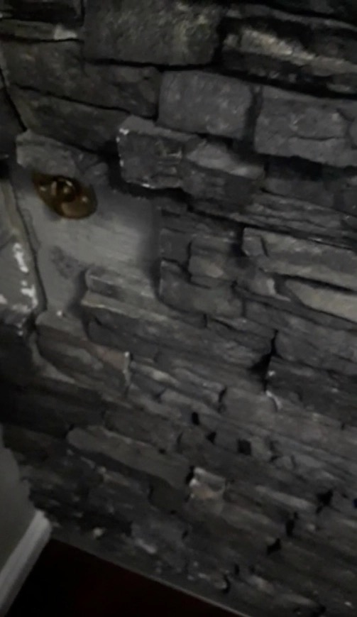 外国女人被困在地下室20年,外国女生在家里找到隐藏的密室