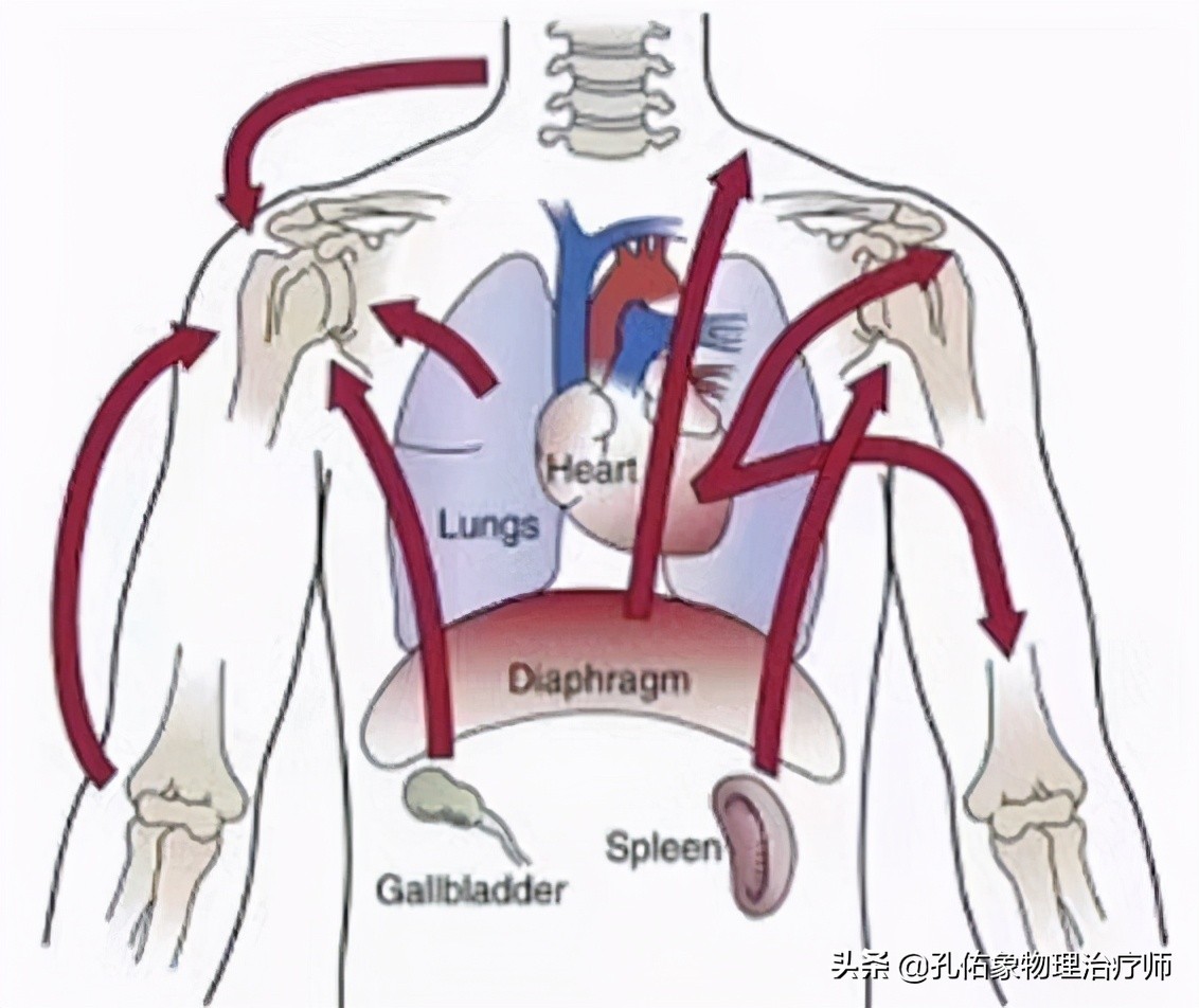 肩膀疼是肩周炎吗还是其他原因,肩周炎肩膀疼痛怎么锻炼