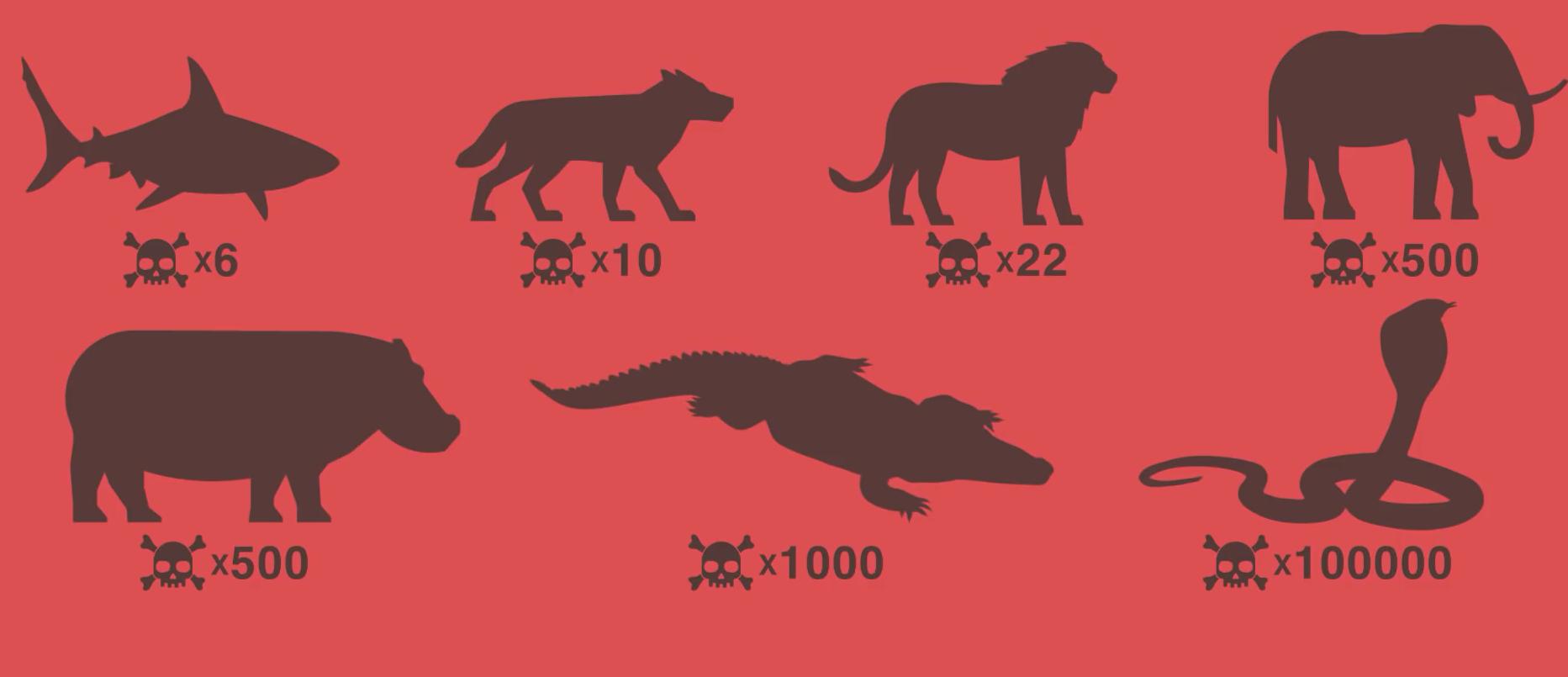 野外遇到大型动物如何自救,如果在野外遇到危险动物该怎么办