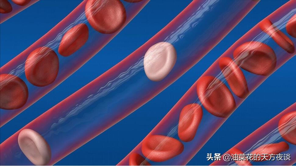 罗沙司他：肾性贫血新药