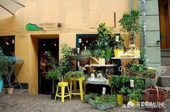 花店进货渠道批发市场,重庆开花店进货渠道在哪里