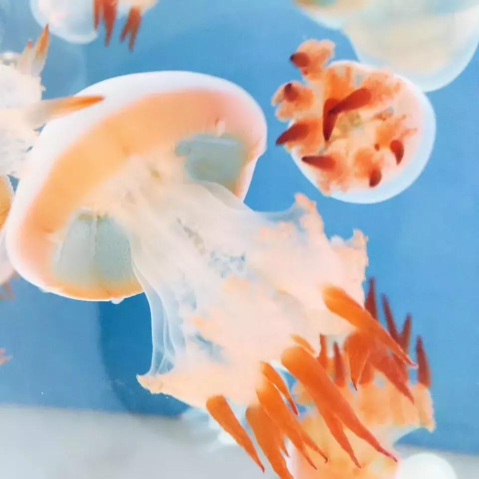 北京南锣鼓巷东一公里打卡地,北京南锣鼓巷旅游攻略必玩的景点