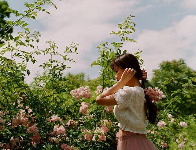 满架蔷薇一院香,开到荼靡花事了