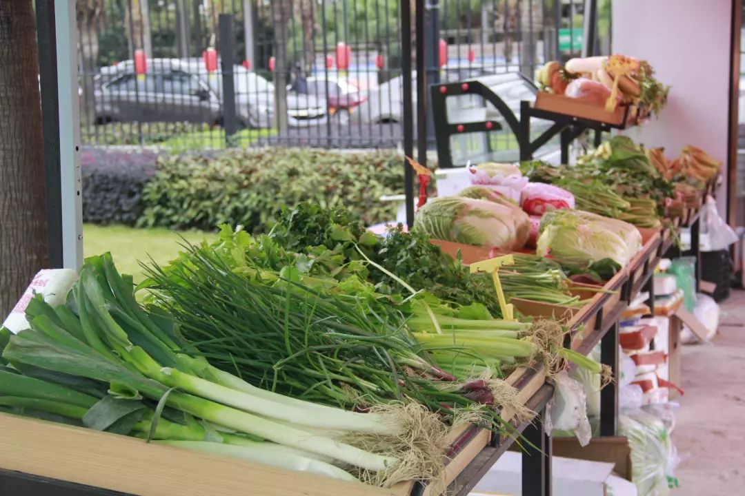 番禺｜物业做“微商”卖菜，管家当“快递员”送菜，广碧这波操作获满屏点赞