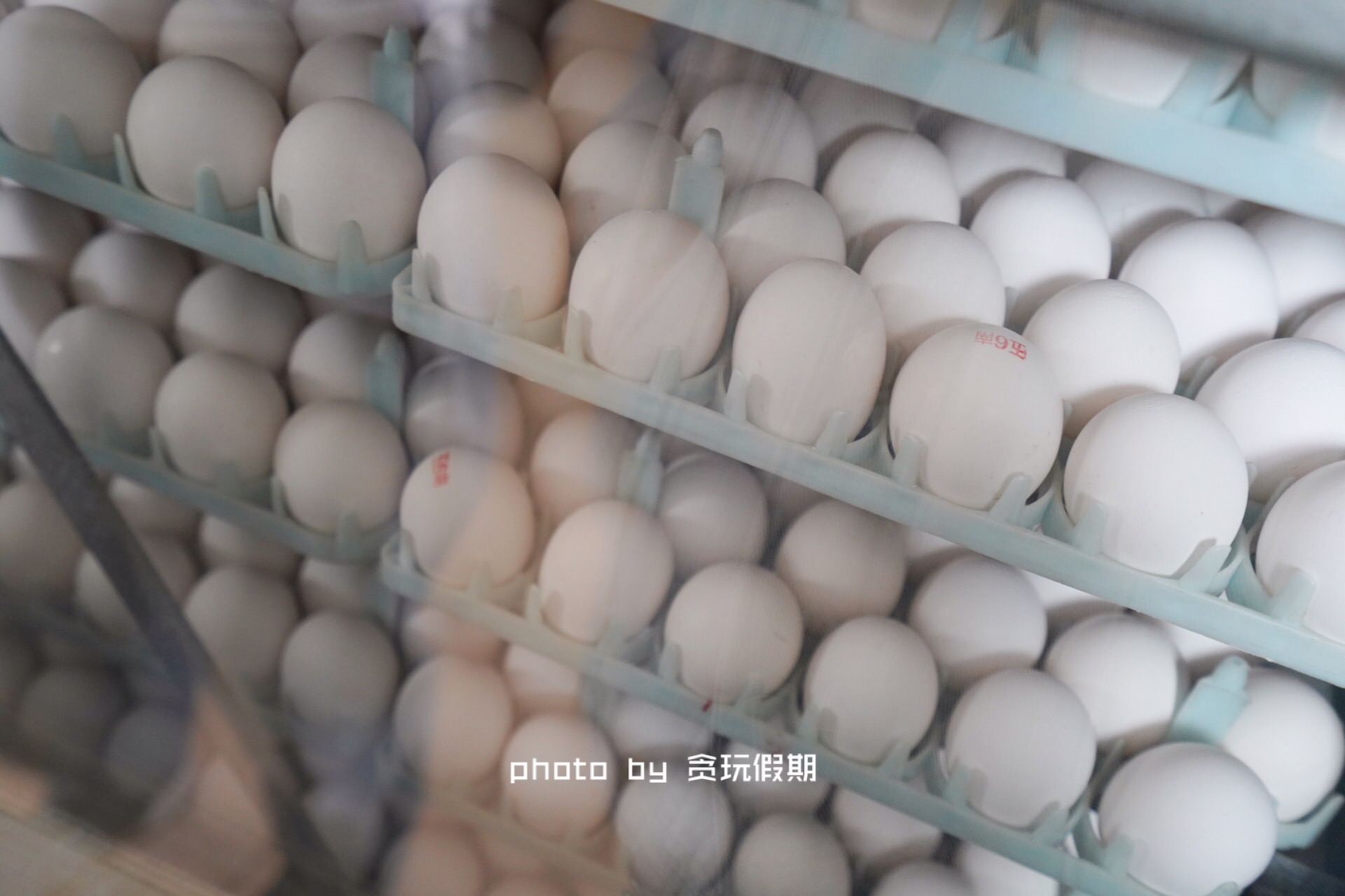 周末去河北攻略,周末到河北看海