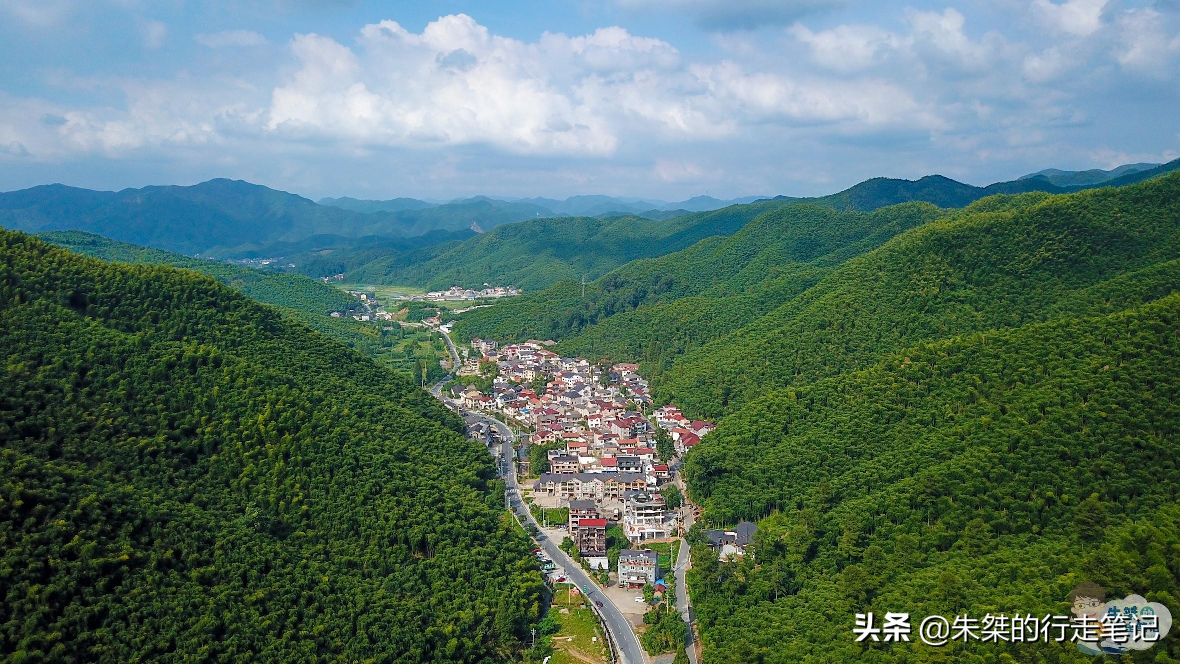 全国有名竹海,华东第一竹海的宜兴