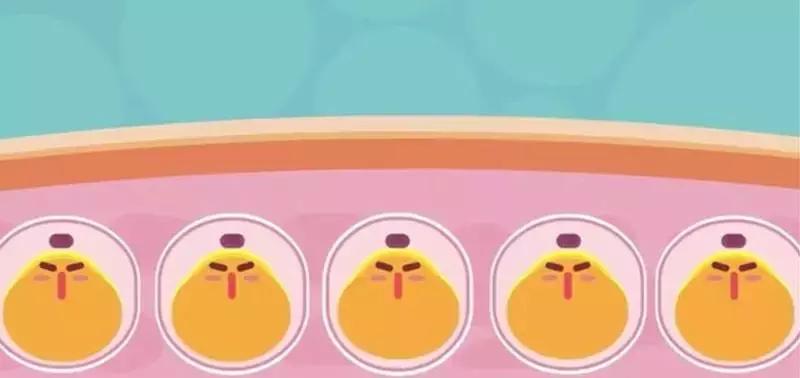 “减肥靠运动”，这句话误导了我们多少年