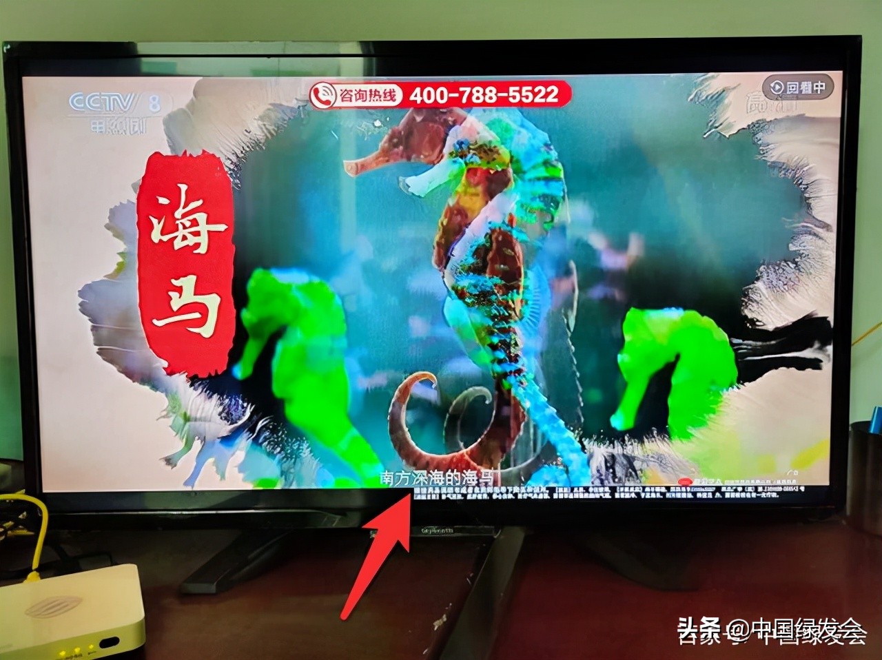 益安宁丸会出现假冒的吗,益安宁丸海马