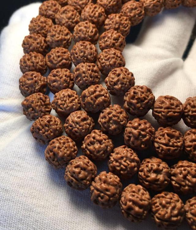 清理金刚菩提用什么水,菩提金刚清理用什么刷