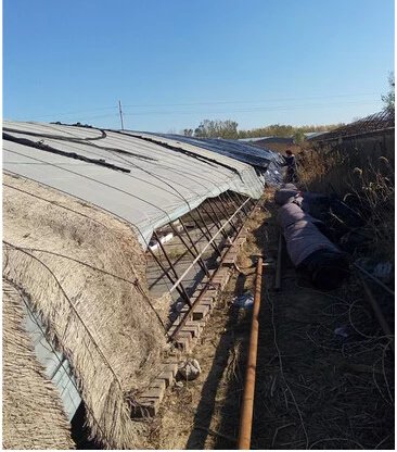 鑺辨埧濮戝澶氳倝閰嶅湡,鑺辨埧濮戝鐜夐湶澶氳倝