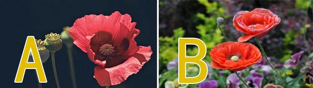 特殊时期的火锅,特殊时期可以吃什么外卖