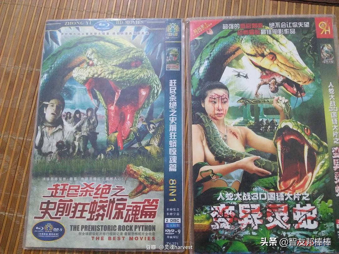 电影上映之前片源泄露,刚上映的电影片源