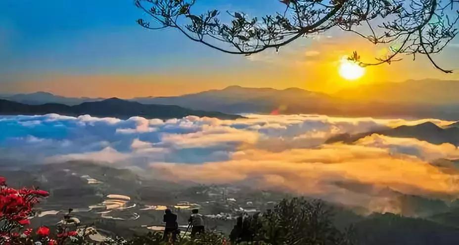 湖北38座城市公园数量排名,湖北有多少园林城市