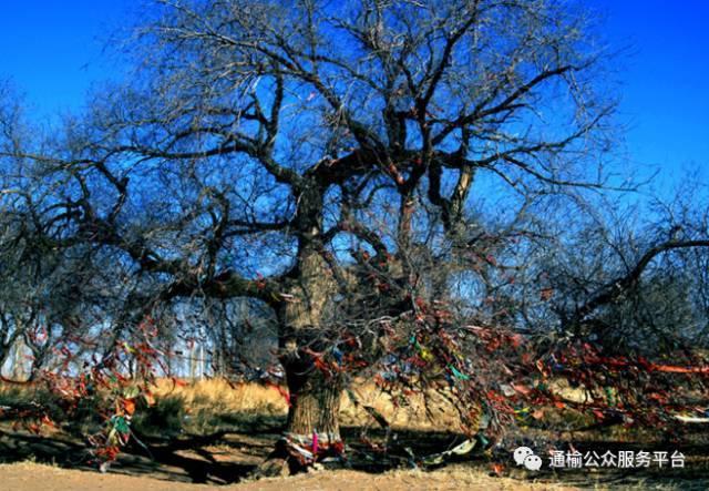 “五一”相约美丽鹤乡通榆旅游攻略