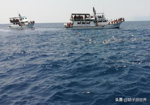 去台湾看海洋世界,去台湾看日月潭还有啥好地方