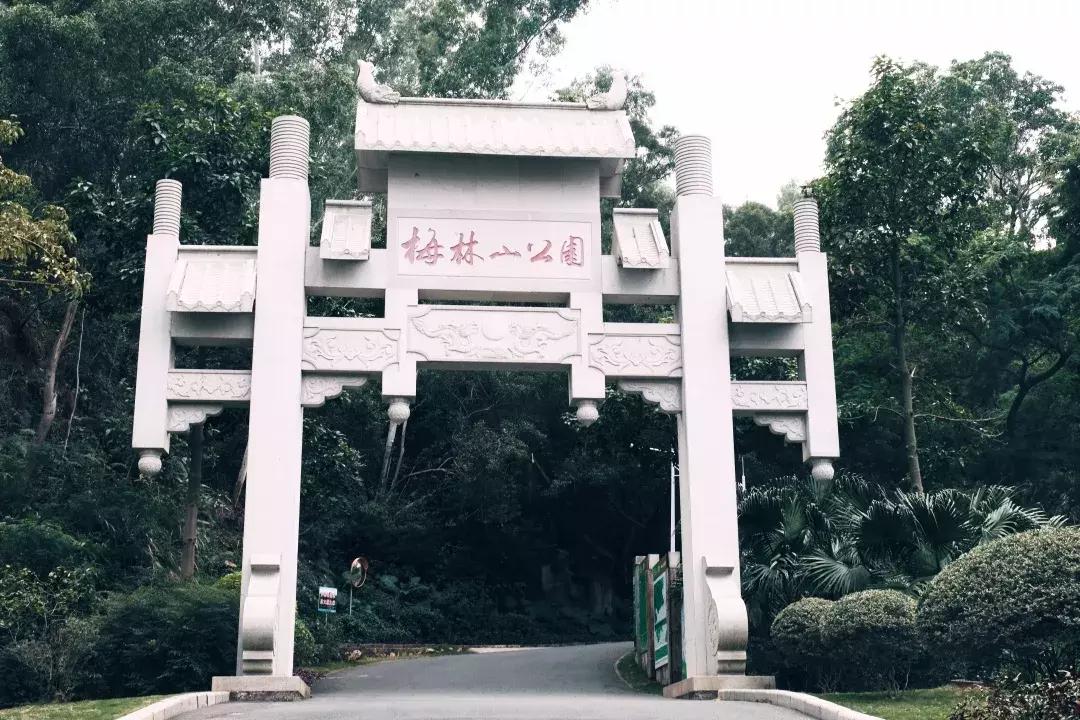 在福田区下梅林生活体验好吗,下梅林晚上适合去的地方