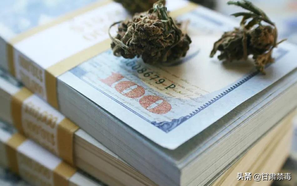 亚洲国家对医用*麻大**开设“绿灯”是突破防线吗？