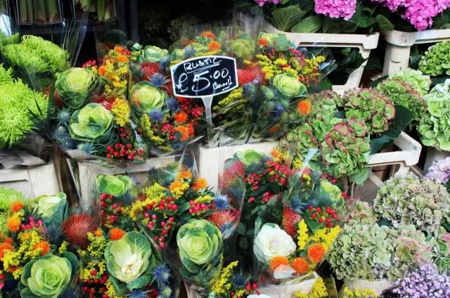 亚洲最大花市宛如仙境,中国最牛的花市