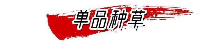 你还在穿小高领吗?这件内搭=很贵
