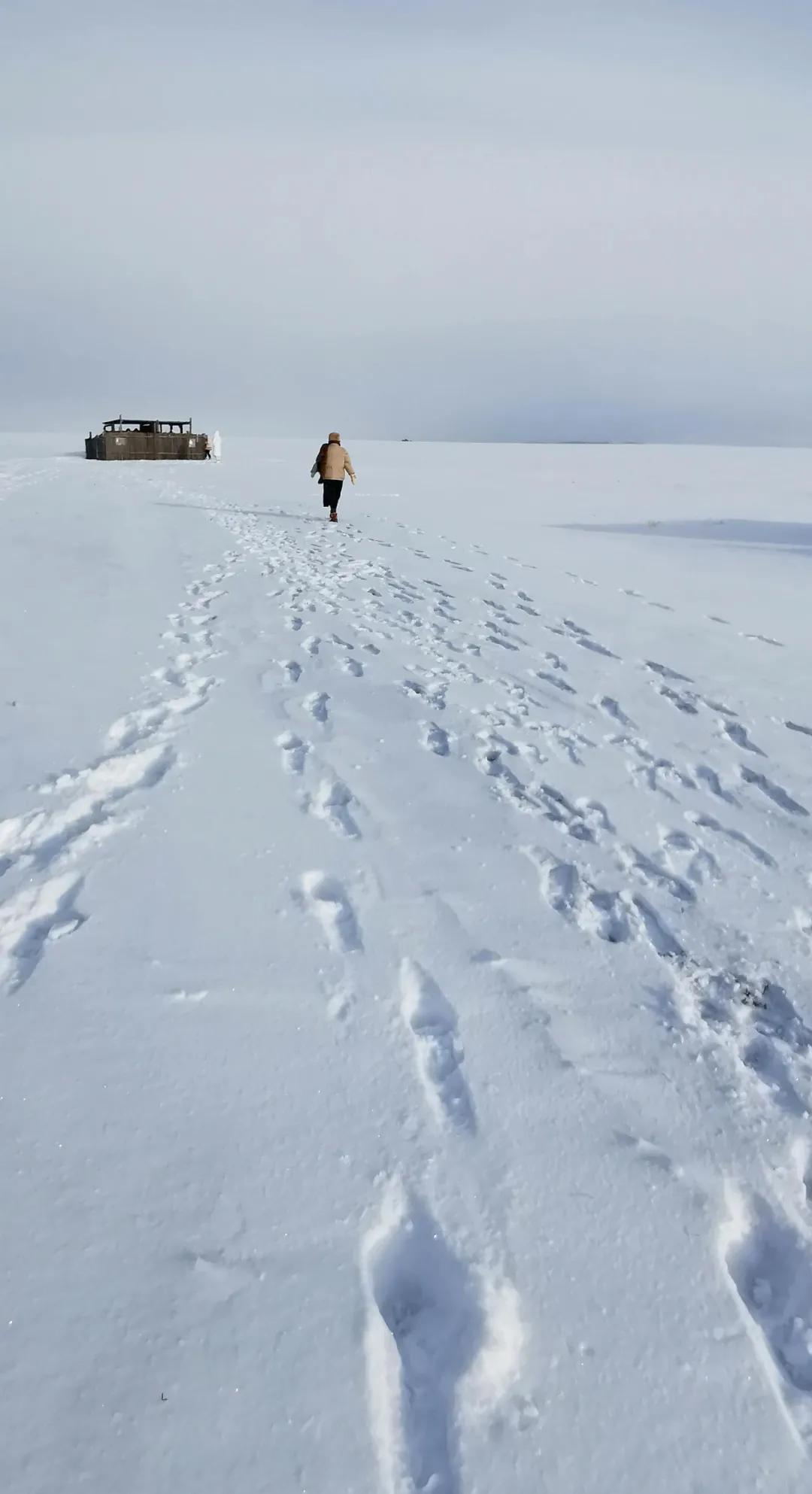 如果2月可以畅快出行,我真想走遍国内这9个地方