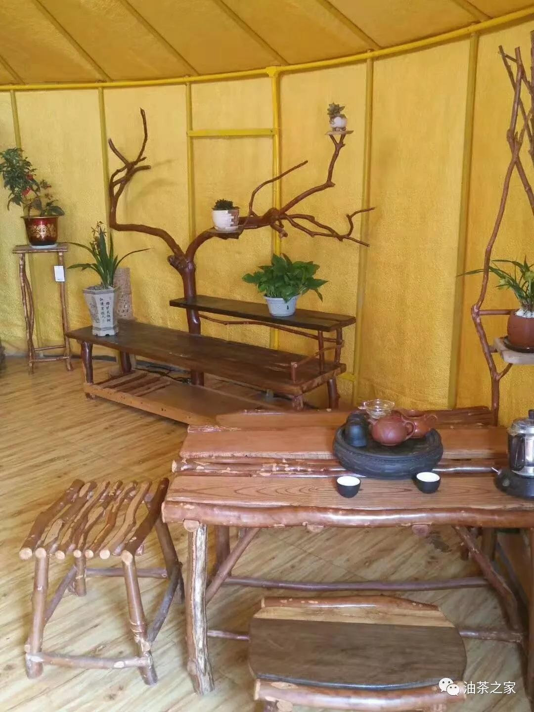 油茶木材怎样做家具,油茶树做家具怎么样