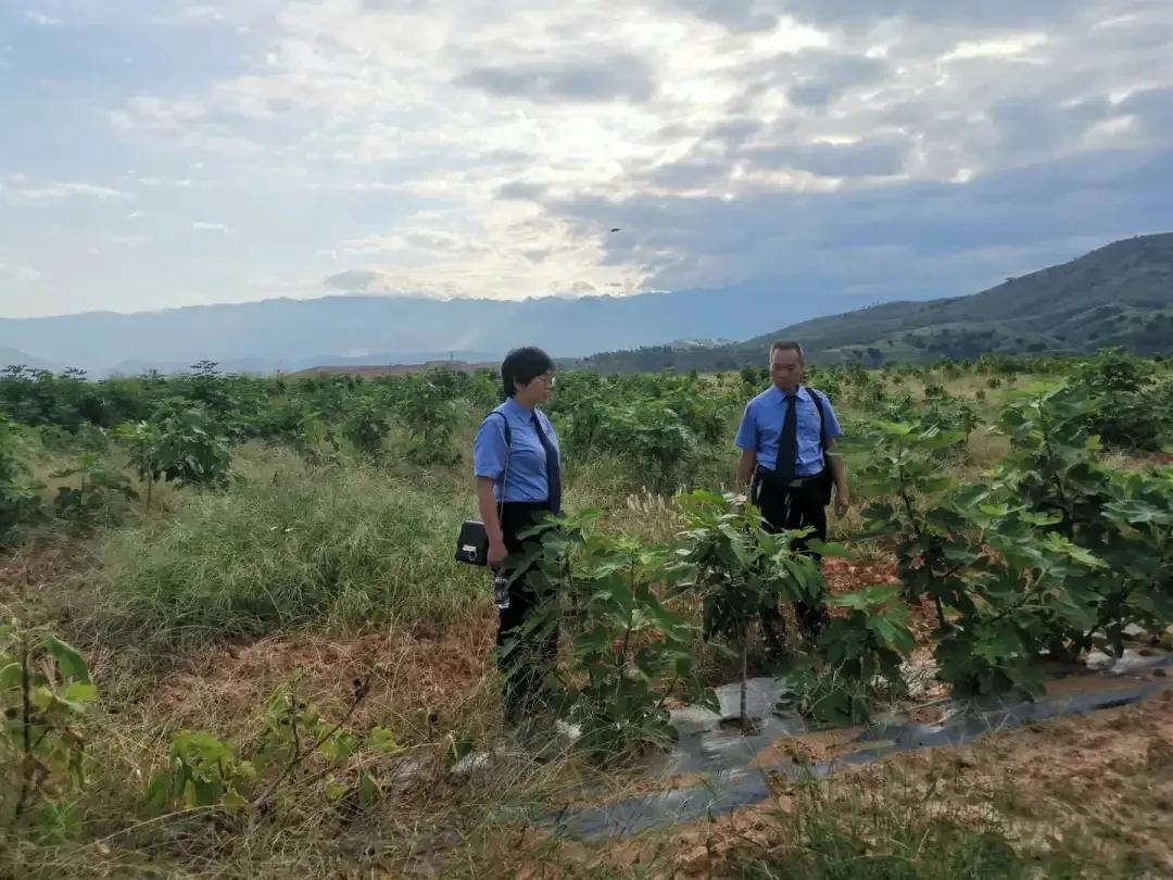 公益林毁坏如何处理,关于林地被破坏的情况通报