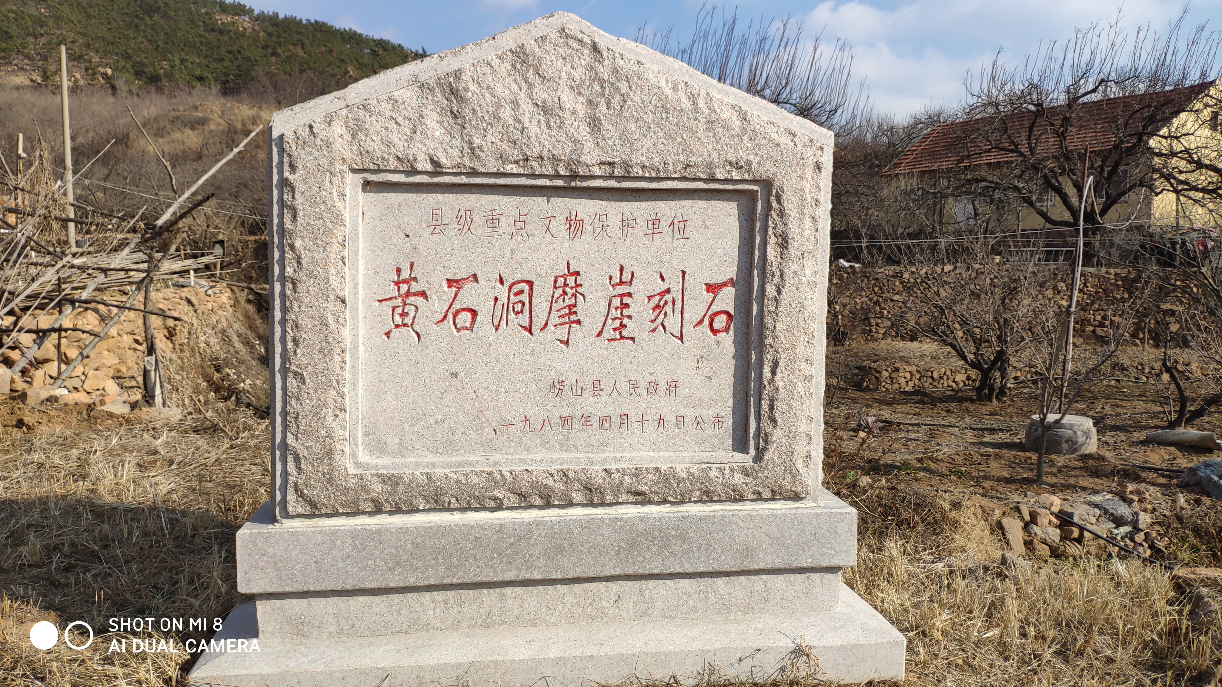 崂山水畔菜蔬鲜，黄石洞中书韵长