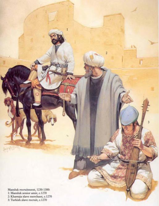 想像龙妈一样买支*队军**?六个美貌*奴女**才换一个战士,你准备好了吗