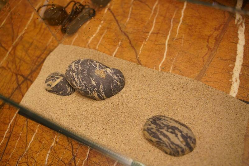 小佩起源纪鱼缸过滤怎么样,小佩起源纪鱼缸