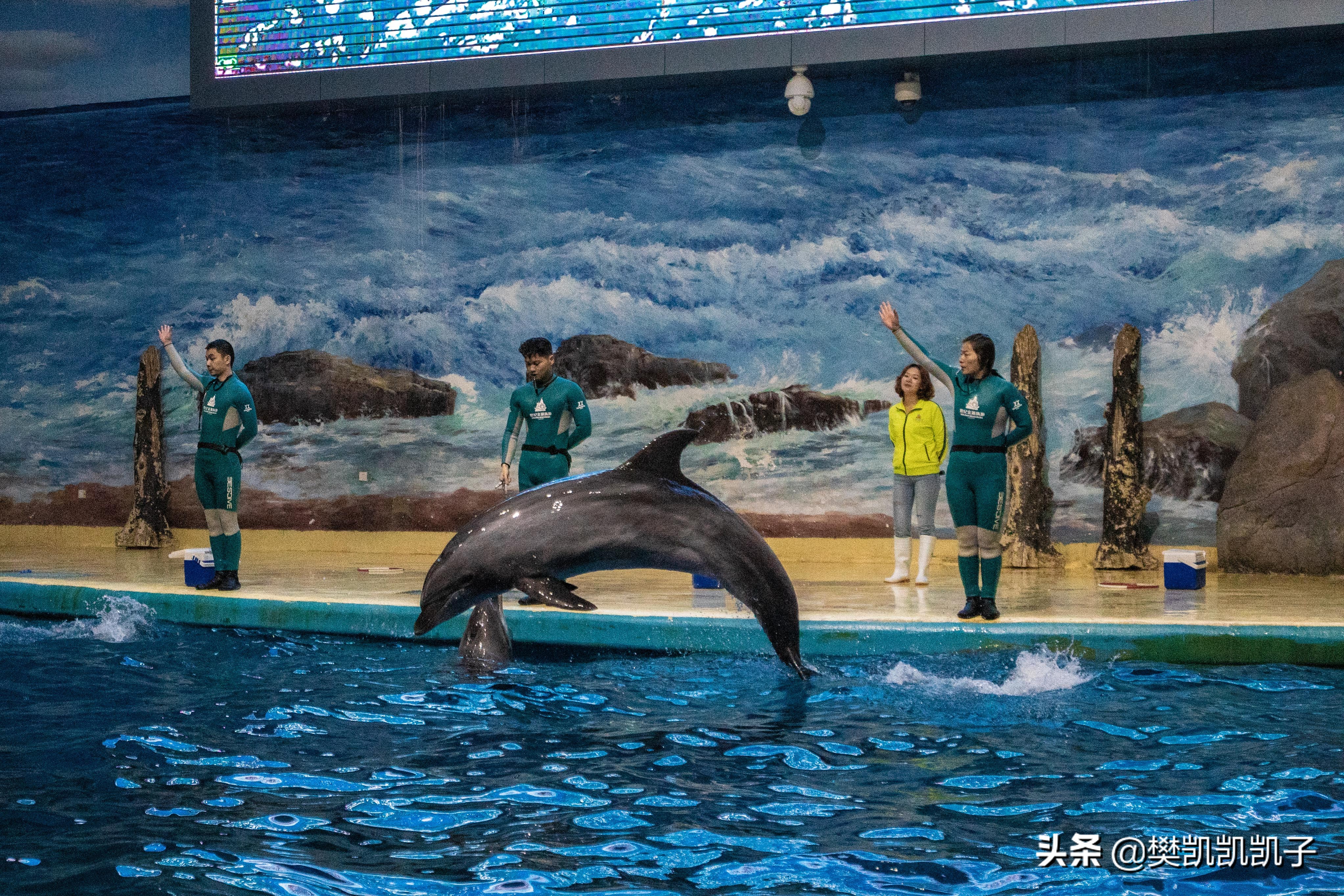 去福州看海的攻略,福州看海攻略推荐