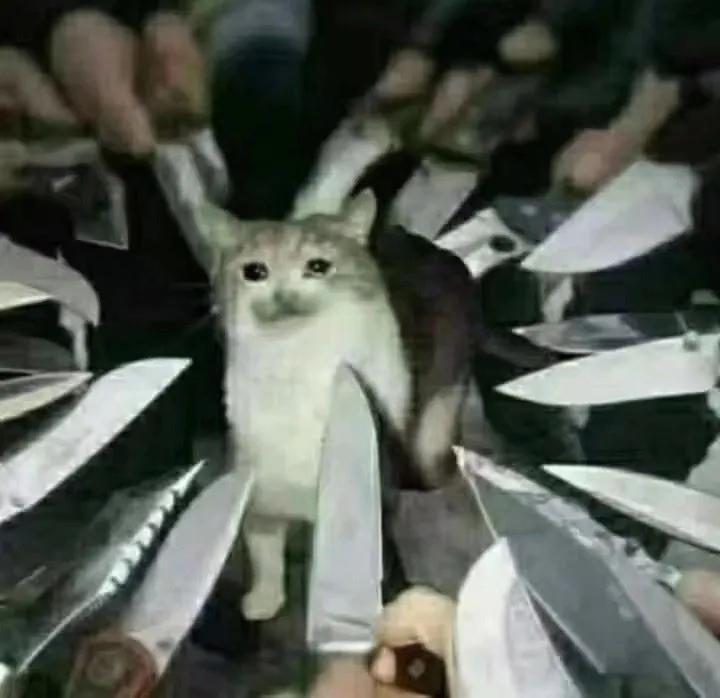 搞笑:黑客:遇到高手了,我刚刚进去就被T出来了