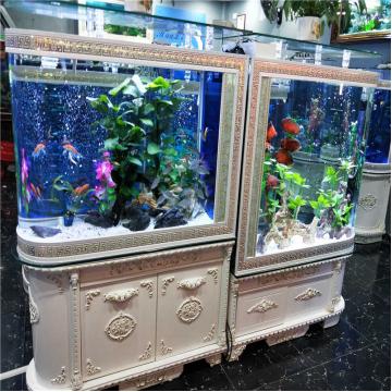 不会挑水族箱?蓝匠LANJOY告诉您