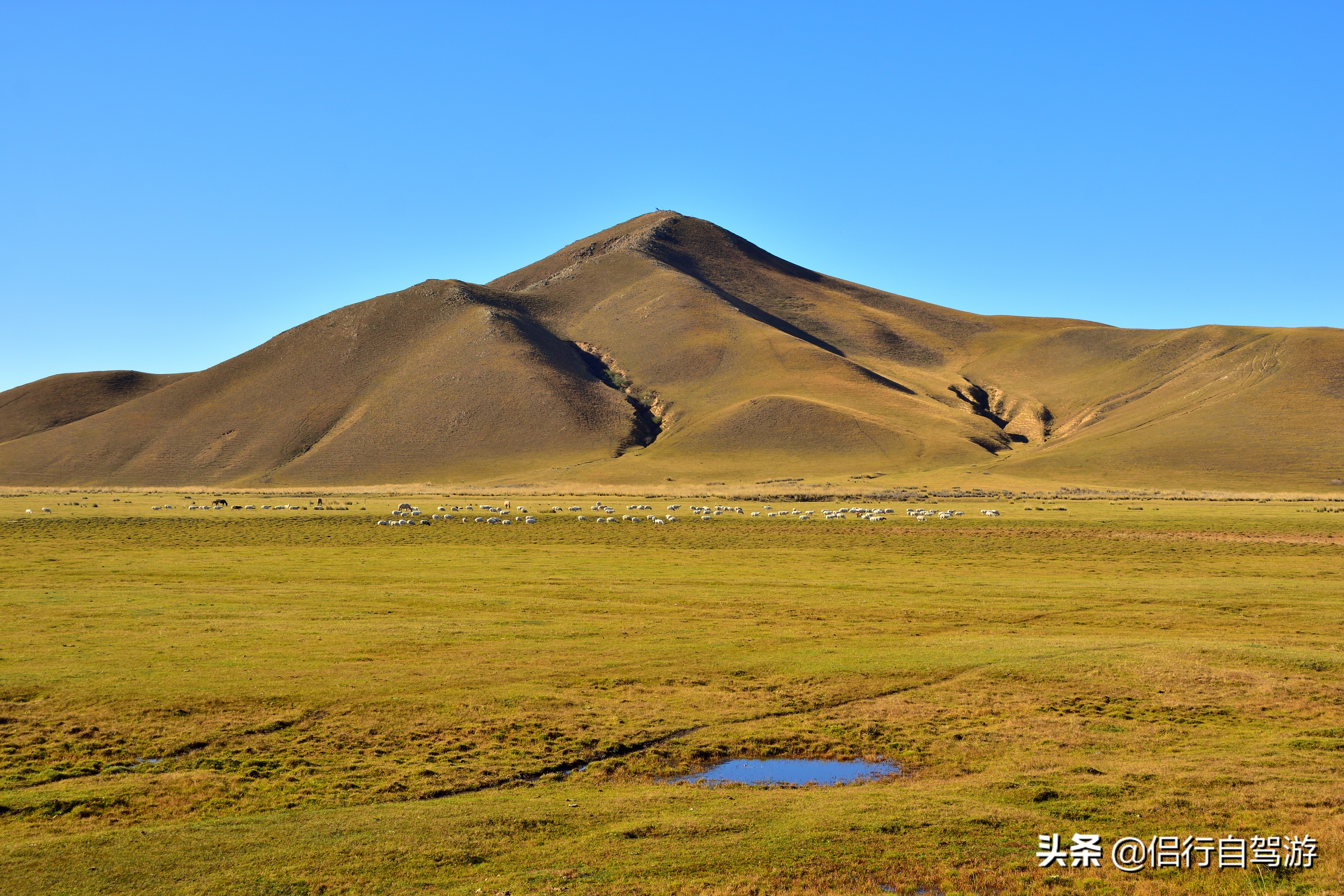 西乌旗景观大道,两条景观大道