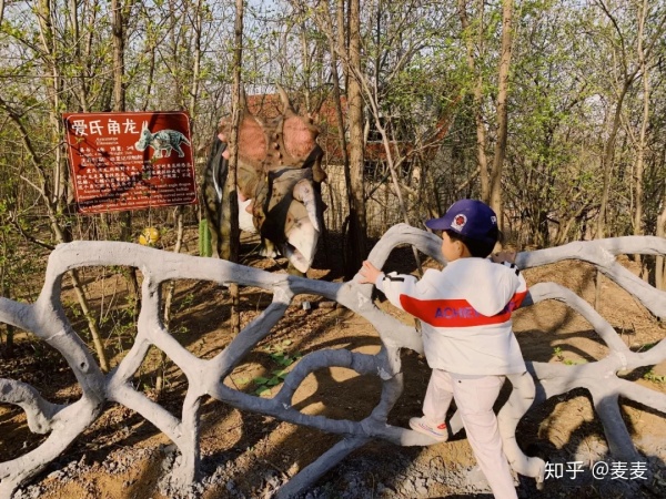 野生动物园长隆游玩攻略,野生动物园长隆攻略图片