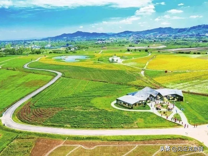 四川省NO.1！龙泉驿凭什么能获全国绿色发展百强区？背后竟藏着这样的秘密~