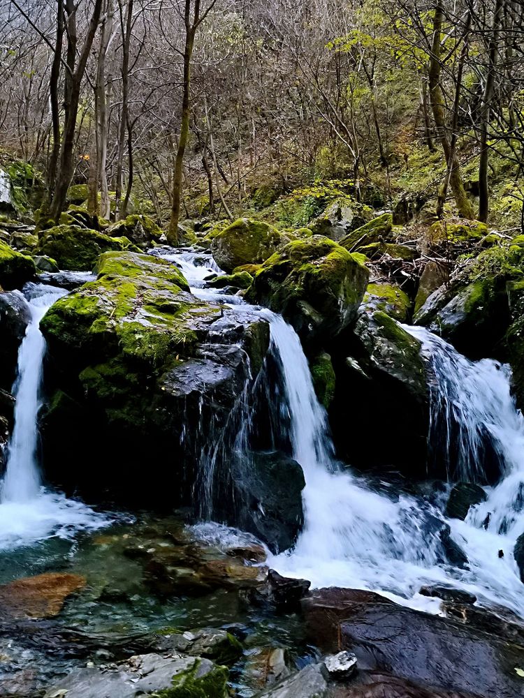 20201101惊悚之行~首阳山大坪梁单日横穿+原返