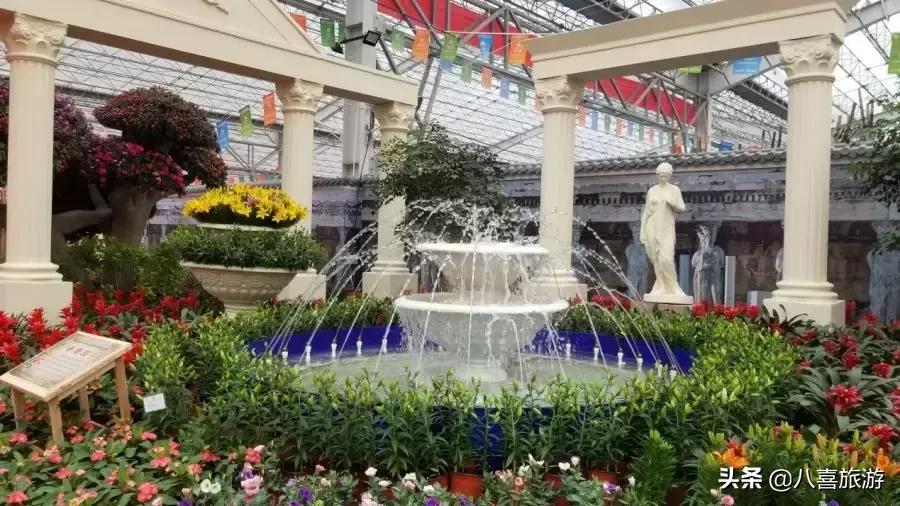 国庆来海边相遇,来青州感受一场心动之旅