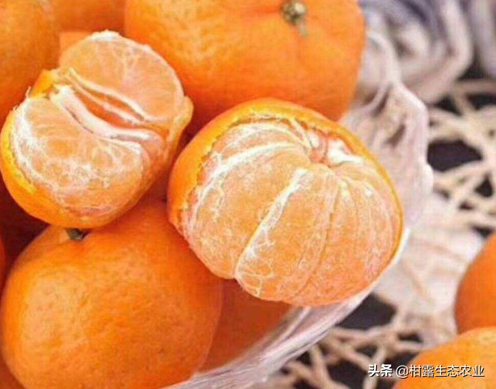 南丰蜜桔价格是什么,南丰蜜桔现在行情怎样