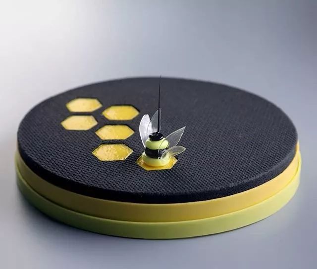 蜂蜜挞——一只小蜜轰，灰到发丛中