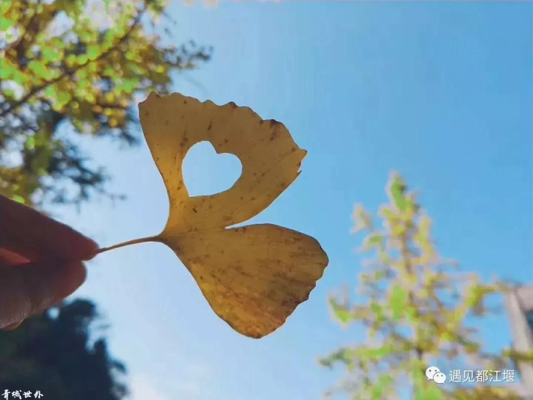 亲测！生活在都江堰，到底是一种什么样的体验