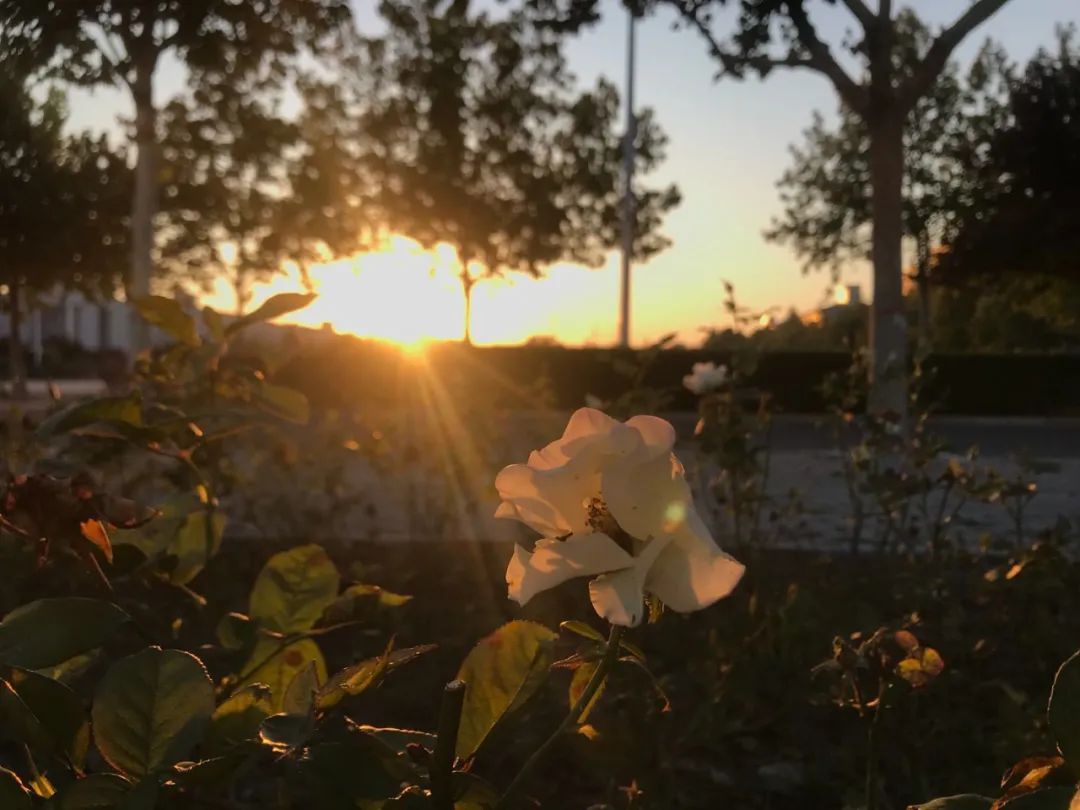 河北科技大学最牛考研,河北科技大学很牛吗