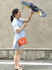 最小最方便携带的防晒伞,出门必备晴雨两用伞自动